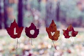 love in maple leaves
